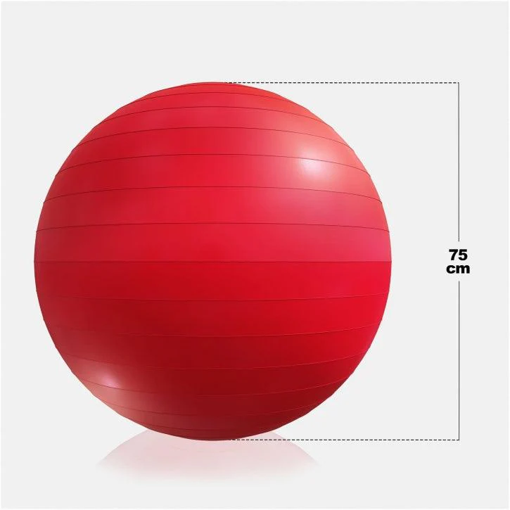 Fitball Pelota de Fitness 55 - 75 cm - Image 57