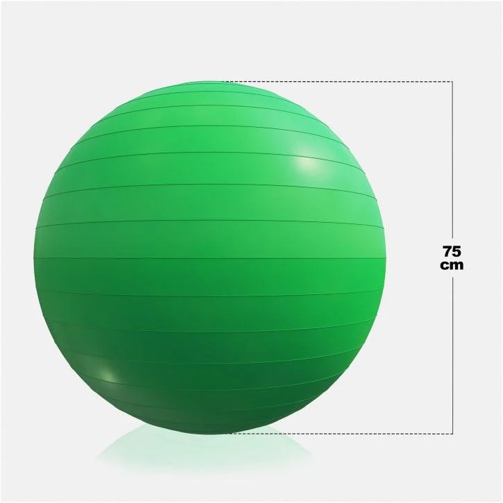 Fitball Pelota de Fitness 55 - 75 cm - Image 69